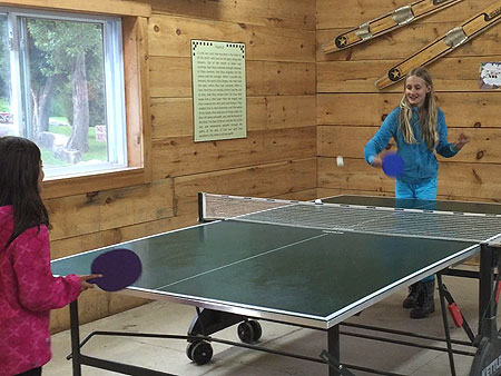 ping-pong-table