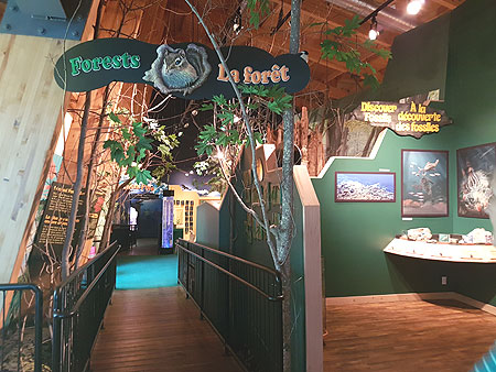 visitor-center-museum-3