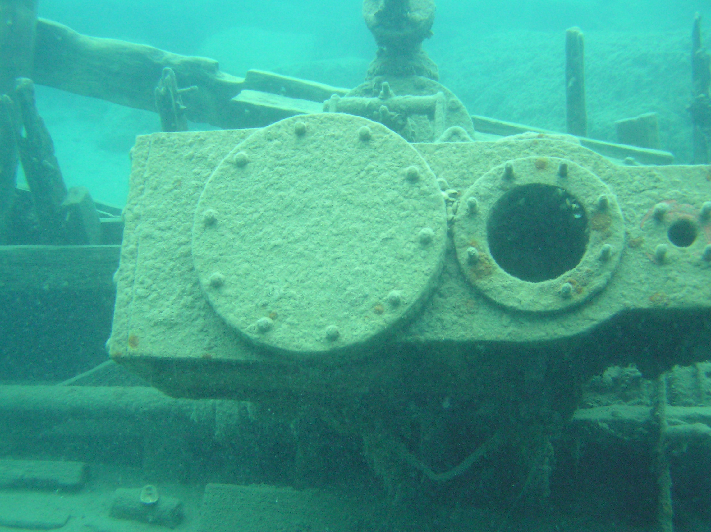 alice-g-10