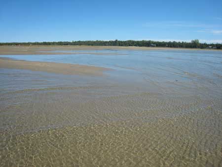 singing-sand3