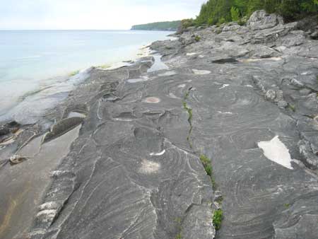 little-cove3