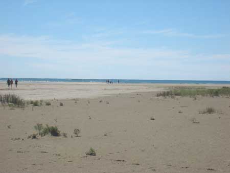 singing-sand4