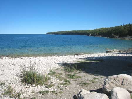 little-cove1
